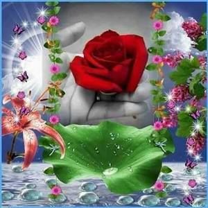 Meet your Posher, Migdalia